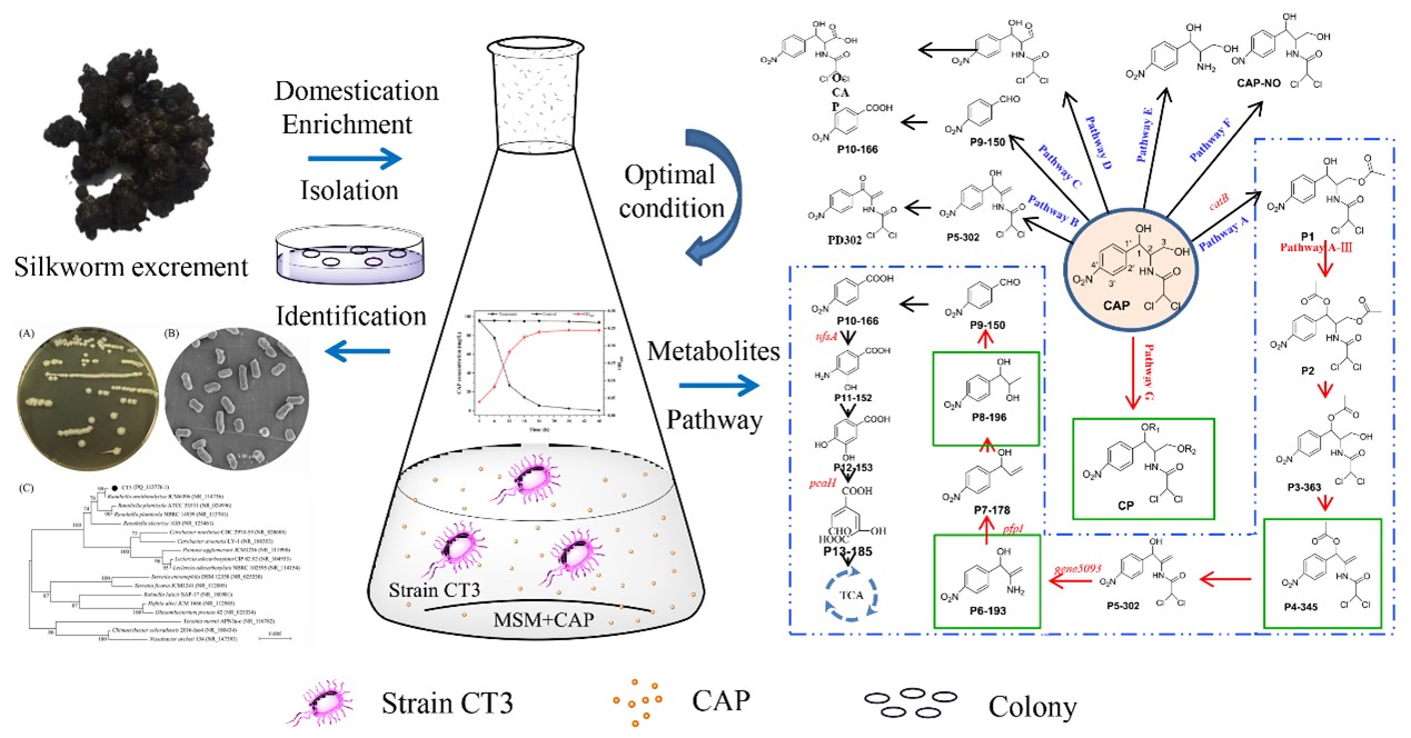 1730168533956470.jpg 圖片2.jpg