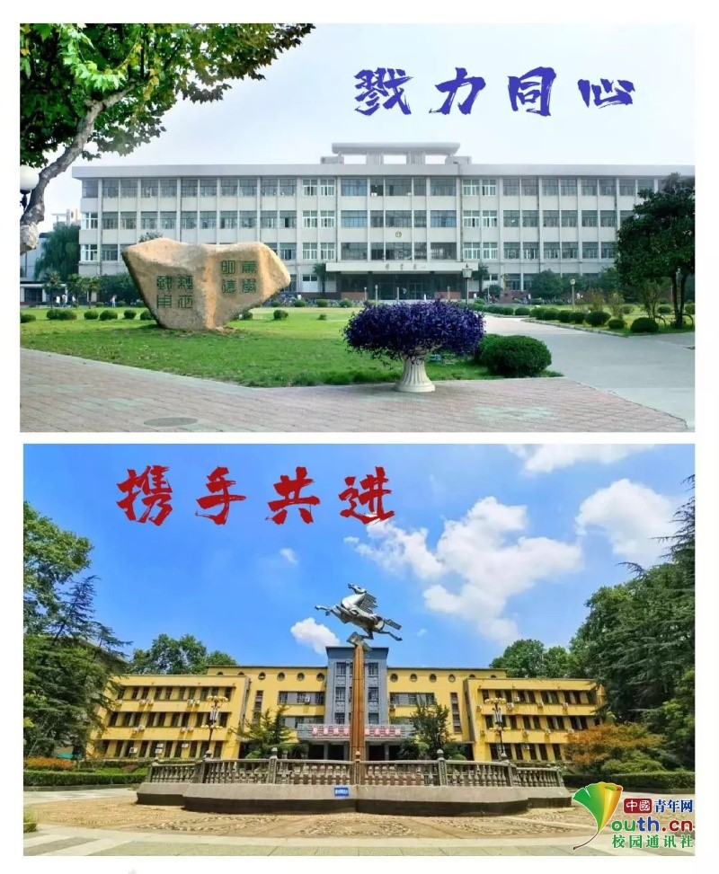 1585409988939646.jpg b.jpg