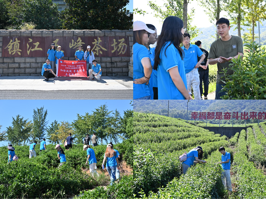 1756646023687456.png 1756646023687456.png