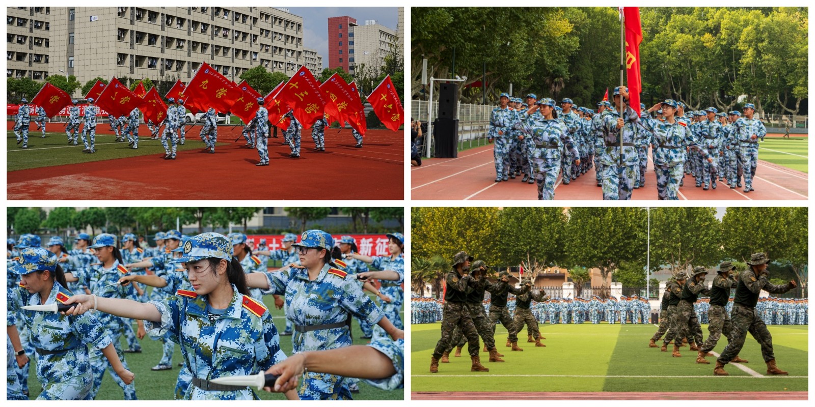 1759218183655050.jpg 1759218183655050.jpg