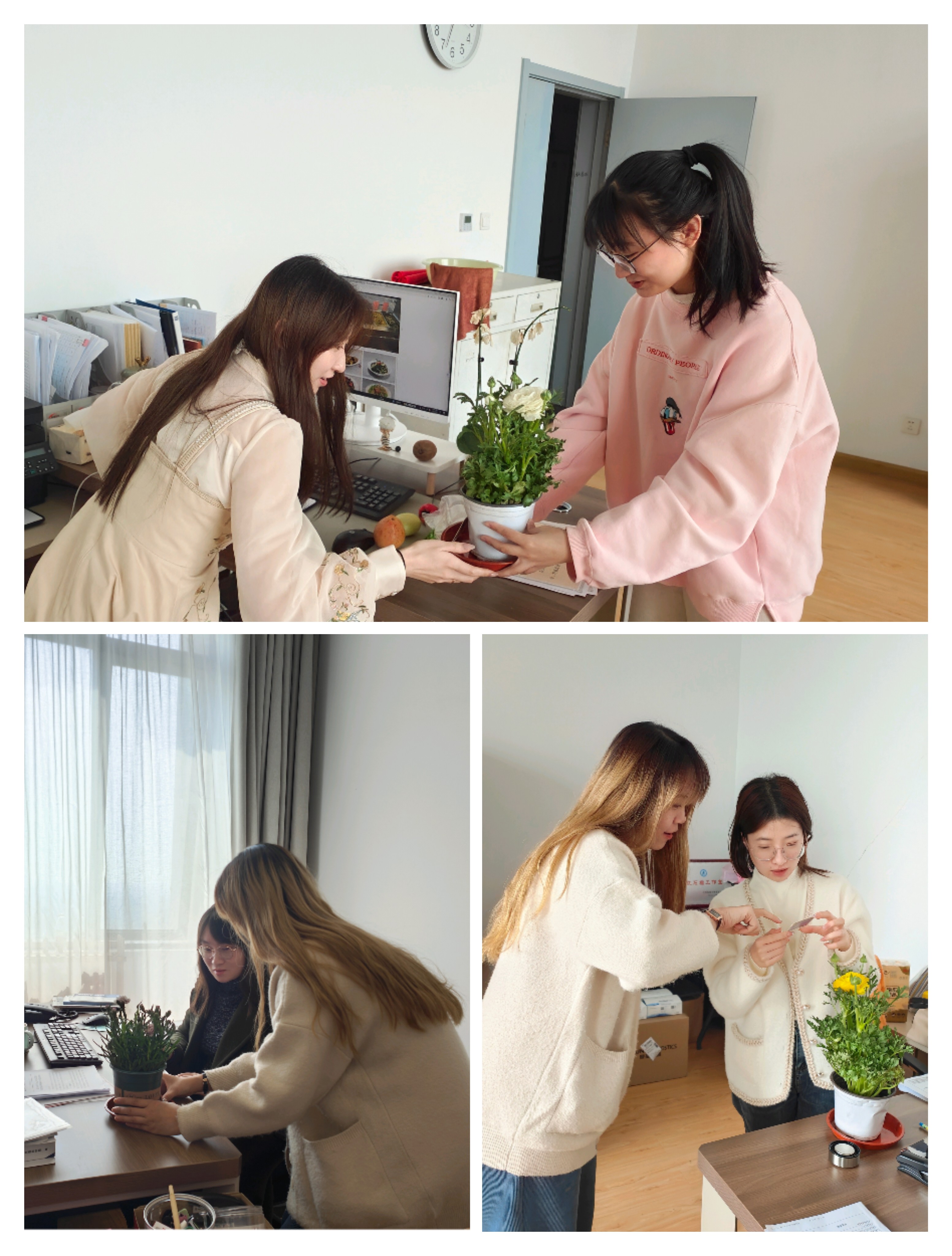 1678327944779828.jpg 1678327944779828.jpg