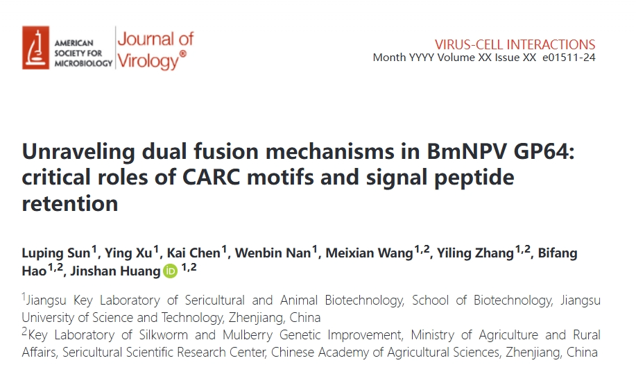 1732764997601080.png 圖片1.png