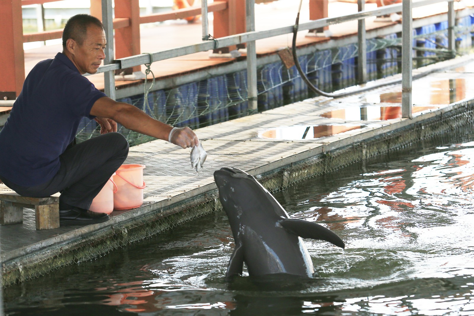 1753196006700947.jpg 配圖06.jpg