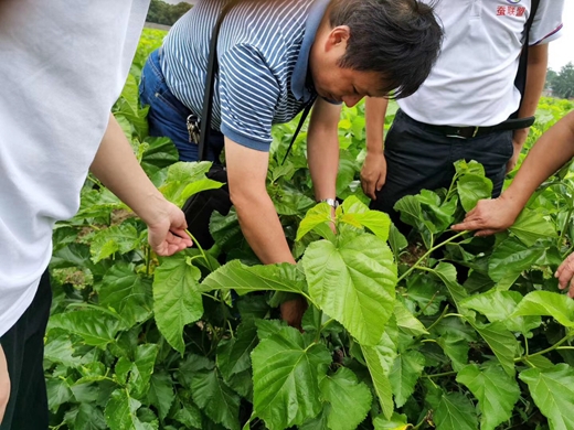 江科大生物技術學院赴泗洪科普助農